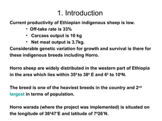 Designing community based breeding strategies for indigenous sheep breeds of smallholders in Ethiopia: The case of Horro sheep 