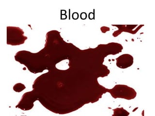Blood