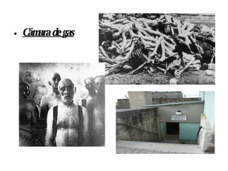 Cámara de gas 