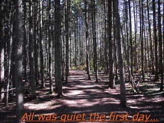 All was quiet  the first day… 