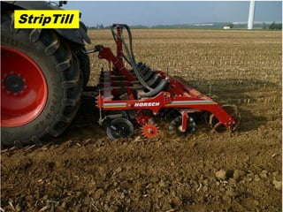 StripTill
 