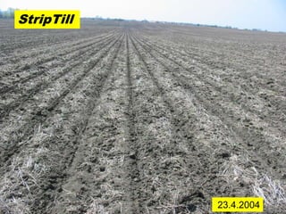 StripTill




            23.4.2004
 