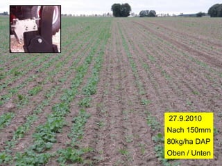 27.9.2010
Nach 150mm
80kg/ha DAP
Oben / Unten
 