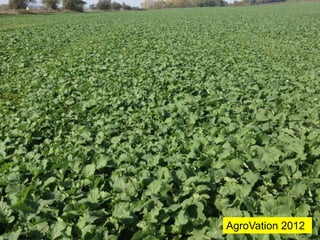 AgroVation 2012
 