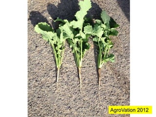AgroVation 2012
 