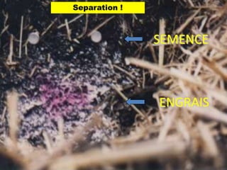 Separation !



               SEMENCE



               ENGRAIS
 