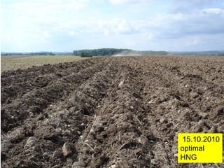 15.10.2010
optimal
HNG
 