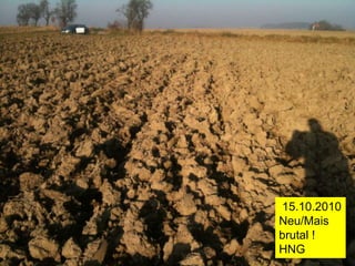 15.10.2010
Neu/Mais
brutal !
HNG
 