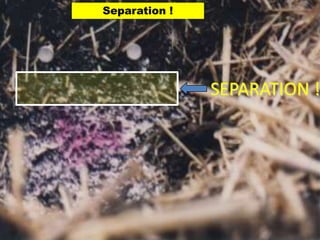 Separation !




               SEPARATION !
 