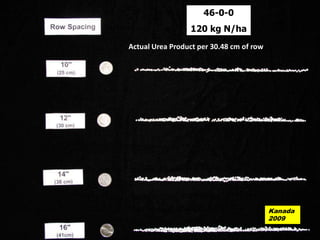 46-0-0
                 120 kg N/ha
Actual Urea Product per 30.48 cm of row




                                          Kanada
                                          2009
 