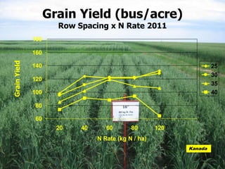 Grain Yield (bus/acre)
                      Row Spacing x N Rate 2011
              180

              160
Grain Yield




              140                                                   25
                                                                    30
              120
                                                                    35
              100                                                   40

              80

              60
                      20   40      60       80       120
                                N Rate (kg N / ha)
                                                           Kanada
 
