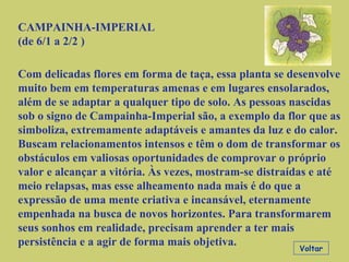 CAMPAINHA-IMPERIAL
(de 6/1 a 2/2 )
Com delicadas flores em forma de taça, essa planta se desenvolve
muito bem em temperaturas amenas e em lugares ensolarados,
além de se adaptar a qualquer tipo de solo. As pessoas nascidas
sob o signo de Campainha-Imperial são, a exemplo da flor que as
simboliza, extremamente adaptáveis e amantes da luz e do calor.
Buscam relacionamentos intensos e têm o dom de transformar os
obstáculos em valiosas oportunidades de comprovar o próprio
valor e alcançar a vitória. Às vezes, mostram-se distraídas e até
meio relapsas, mas esse alheamento nada mais é do que a
expressão de uma mente criativa e incansável, eternamente
empenhada na busca de novos horizontes. Para transformarem
seus sonhos em realidade, precisam aprender a ter mais
persistência e a agir de forma mais objetiva. Voltar
 