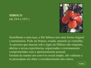 HIBISCO
(de 24/4 a 10/5 )
Semelhante a uma taça, a flor hibisco tem uma forma original
e harmoniosa. Pode ser branca, rosada, amarela ou vermelha.
As pessoas que nascem sob o signo de Hibisco são originais,
abertas a novas experiências, organizadas e extremamente
comprometidas com o aprimoramento pessoal.
Gostam de manter um convívio social amplo, são vaidosas e
se preocupam em obter o reconhecimento dos outros.
Voltar
 