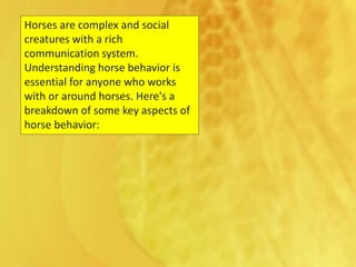 Stallion Behavior HORSE-BEHAVIOUR. pdf | PPT