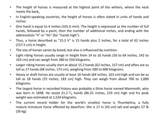 • The height of horses is measured at the highest point of the withers, where the neck
meets the back.
• In English-speaking countries, the height of horses is often stated in units of hands and
inches:
• One hand is equal to 4 inches (101.6 mm). The height is expressed as the number of full
hands, followed by a point, then the number of additional inches, and ending with the
abbreviation "h" or "hh" (for "hands high").
• Thus, a horse described as "15.2 h" is 15 hands plus 2 inches, for a total of 62 inches
(157.5 cm) in height.
• The size of horses varies by breed, but also is influenced by nutrition.
• Light riding horses usually range in height from 14 to 16 hands (56 to 64 inches, 142 to
163 cm) and can weigh from 380 to 550 kilograms.
• Larger riding horses usually start at about 15.2 hands (62 inches, 157 cm) and often are as
tall as 17 hands (68 inches, 173 cm), weighing from 500 to 600 kilograms.
• Heavy or draft horses are usually at least 16 hands (64 inches, 163 cm) high and can be as
tall as 18 hands (72 inches, 183 cm) high. They can weigh from about 700 to 1,000
kilograms.
• The largest horse in recorded history was probably a Shire horse named Mammoth, who
was born in 1848. He stood 21.2 1⁄4 hands (86.25 inches, 219 cm) high and his peak
weight was estimated at 1,524 kilograms.
• The current record holder for the world's smallest horse is Thumbelina, a fully
mature miniature horse affected by dwarfism. She is 17 in (43 cm) tall and weighs 57 lb
(26 kg)
 
