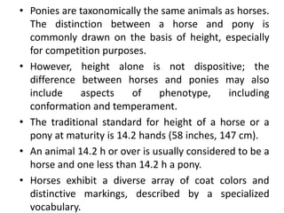 • Ponies are taxonomically the same animals as horses.
The distinction between a horse and pony is
commonly drawn on the basis of height, especially
for competition purposes.
• However, height alone is not dispositive; the
difference between horses and ponies may also
include aspects of phenotype, including
conformation and temperament.
• The traditional standard for height of a horse or a
pony at maturity is 14.2 hands (58 inches, 147 cm).
• An animal 14.2 h or over is usually considered to be a
horse and one less than 14.2 h a pony.
• Horses exhibit a diverse array of coat colors and
distinctive markings, described by a specialized
vocabulary.
 