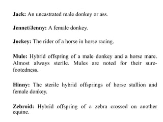 Jack: An uncastrated male donkey or ass.
Jennet/Jenny: A female donkey.
Jockey: The rider of a horse in horse racing.
Mule: Hybrid offspring of a male donkey and a horse mare.
Almost always sterile. Mules are noted for their sure-
footedness.
Hinny: The sterile hybrid offsprings of horse stallion and
female donkey.
Zebroid: Hybrid offspring of a zebra crossed on another
equine.
 