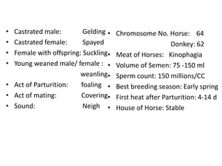 • Castrated male: Gelding
• Castrated female: Spayed
• Female with offspring: Suckling
• Young weaned male/ female :
weanling
• Act of Parturition: foaling
• Act of mating: Covering
• Sound: Neigh
• Chromosome No. Horse: 64
Donkey: 62
• Meat of Horses: Kinophagia
• Volume of Semen: 75 -150 ml
• Sperm count: 150 millions/CC
• Best breeding season: Early spring
• First heat after Parturition: 4-14 d
• House of Horse: Stable
 
