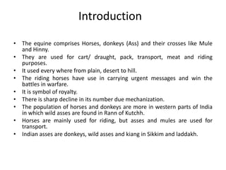 Introduction
• The equine comprises Horses, donkeys (Ass) and their crosses like Mule
and Hinny.
• They are used for cart/ draught, pack, transport, meat and riding
purposes.
• It used every where from plain, desert to hill.
• The riding horses have use in carrying urgent messages and win the
battles in warfare.
• It is symbol of royalty.
• There is sharp decline in its number due mechanization.
• The population of horses and donkeys are more in western parts of India
in which wild asses are found in Rann of Kutchh.
• Horses are mainly used for riding, but asses and mules are used for
transport.
• Indian asses are donkeys, wild asses and kiang in Sikkim and laddakh.
 