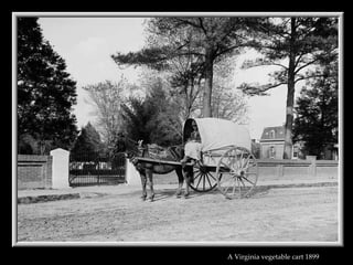 A Virginia vegetable cart 1899  