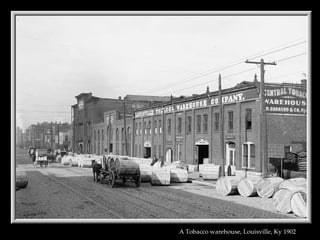 A Tobacco warehouse, Louisville, Ky 1902   