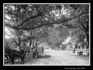 Ocean Springs, Miss 1899   