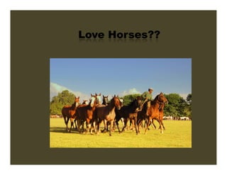 Love Horses??
 