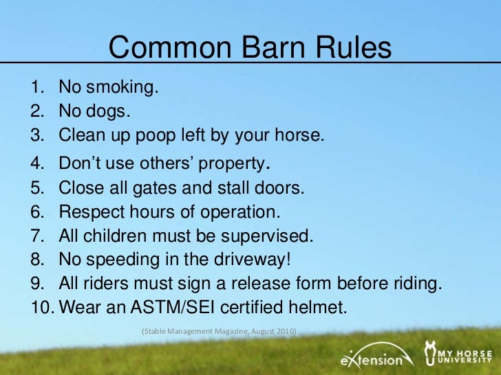 Horse Boarding Operations What is Involved?