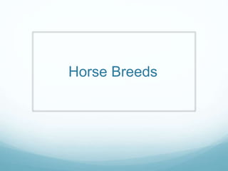 Horse Breeds
 
