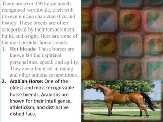 There are over 350 horse breeds
recognized worldwide, each with
its own unique characteristics and
history. These breeds are often
categorized by their temperament,
build, and origin. Here are some of
the most popular horse breeds:
1. Hot bloods: These horses are
known for their spirited
personalities, speed, and agility.
They are often used in racing
and other athletic competitions.
2. Arabian Horse: One of the
oldest and most recognizable
horse breeds, Arabians are
known for their intelligence,
athleticism, and distinctive
dished face. Horse breeds 1
 