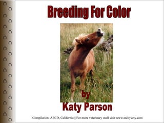 Breeding For Color by Katy Parson Compilation: AECD, California || For more veterinary stuff visit www.techyvety.com 