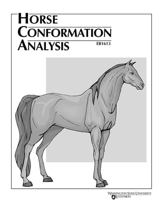 HORSE
CONFORMATION
ANALYSIS EB1613
 