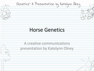 Horse Genetics A creative communications presentation by Katelynn Olney 