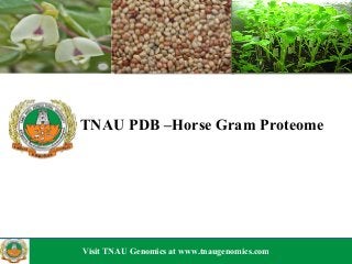  
TNAU PDB –Horse Gram Proteome
Visit TNAU Genomics at www.tnaugenomics.comVisit TNAU Genomics at www.tnaugenomics.com
 