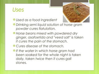 Uses 
 Used as a food ingredient 
 Drinking semi liquid solution of horse gram 
powder cures flatulation. 
 Horse beans mixed with powdered dry 
ginger, asafoetida and "veed salt" is taken 
it cures the pain of the stomach. 
 Cures disease of the stomach. 
 If the water in which horse gram had 
been soaked for the whole night is taken 
daily, taken twice then it cures gall 
stones. 
 