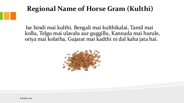 horse benefits essay horse benefits essay