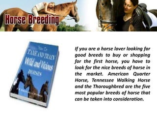 If you are a horse lover looking for
good breeds to buy or shopping
for the first horse, you have to
look for the nice breeds of horse in
the market. American Quarter
Horse, Tennessee Walking Horse
and the Thoroughbred are the five
most popular breeds of horse that
can be taken into consideration.
 