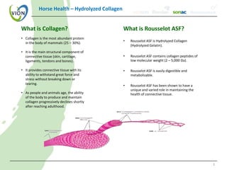 Horse Health – Hydrolyzed Collagen


What is Collagen?                               What is Rousselot ASF?
• Collagen is the most abundant protein
                                                •   Rousselot ASF is Hydrolyzed Collagen
  in the body of mammals (25 – 30%).
                                                    (Hydrolyzed Gelatin).
• It is the main structural component of
  connective tissue (skin, cartilage,           •   Rousselot ASF contains collagen peptides of
  ligaments, tendons and bones).                    low molecular weight (2 – 5,000 Da).

• It provides connective tissue with its        •   Rousselot ASF is easily digestible and
  ability to withstand great force and              metabolizable.
  stress without breaking down or
  tearing.                                      •   Rousselot ASF has been shown to have a
                                                    unique and varied role in maintaining the
• As people and animals age, the ability            health of connective tissue.
  of the body to produce and maintain
  collagen progressively declines shortly
  after reaching adulthood.




                                                                                                  1
 