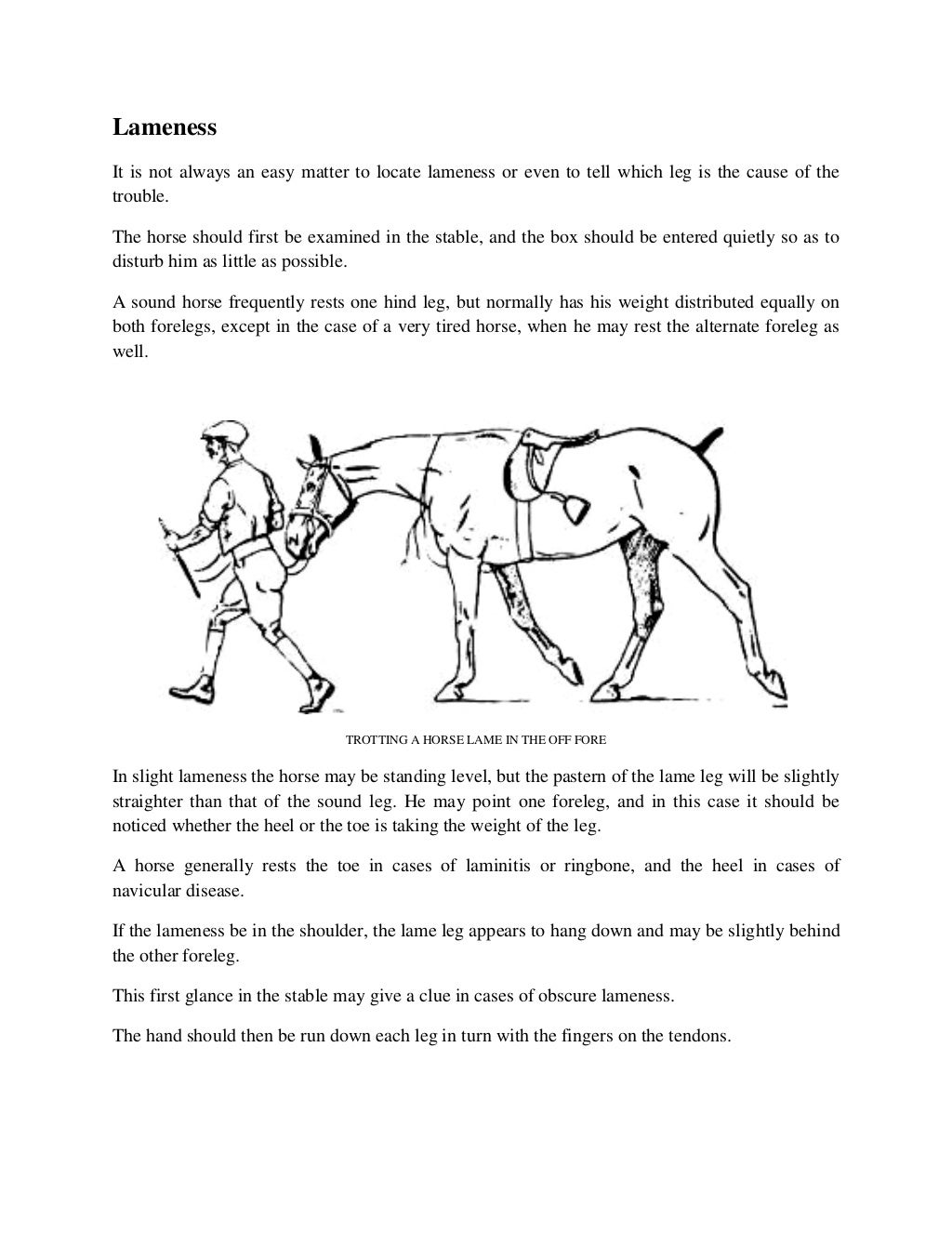How To Detect Lameness In Horses