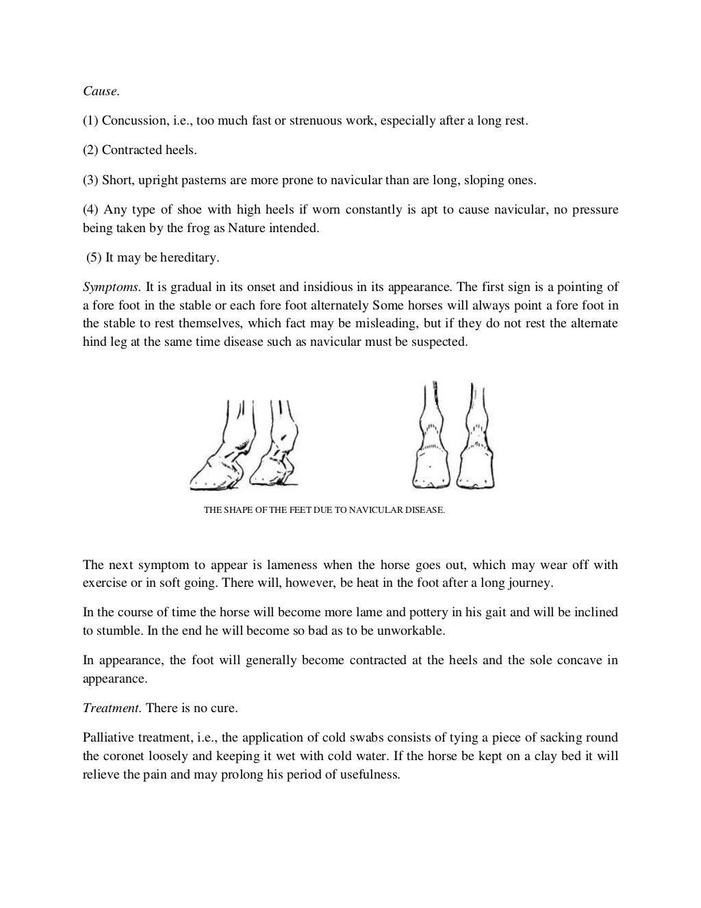 How To Detect Lameness In Horses