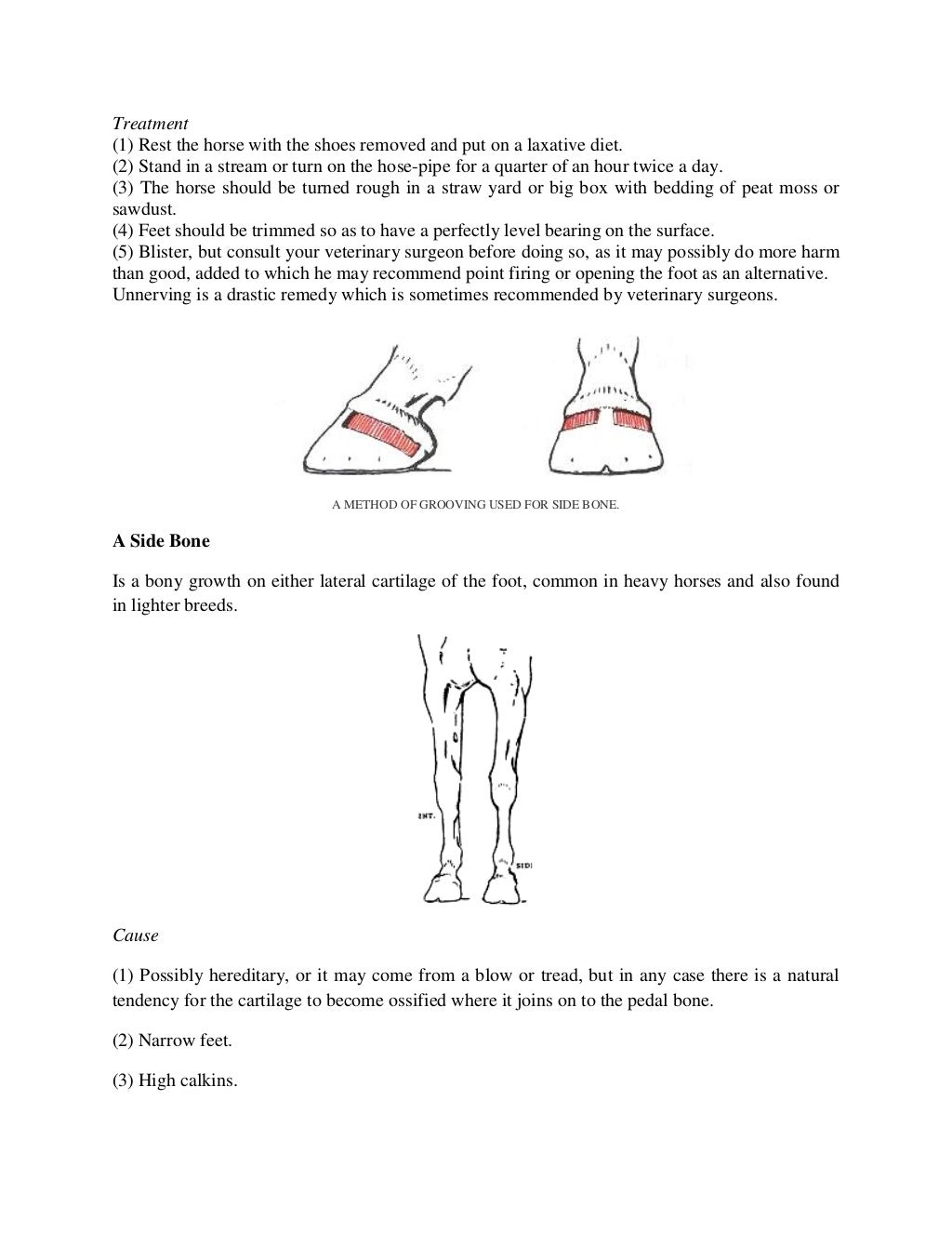 How To Detect Lameness In Horses
