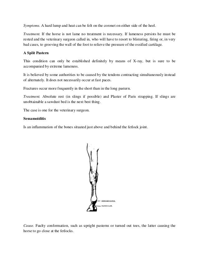 How To Detect Lameness In Horses
