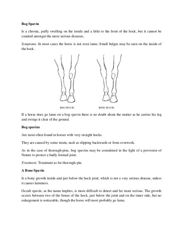 How To Detect Lameness In Horses
