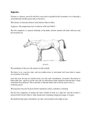 Injuries
Tetanus is a disease caused by Bacillus tetani and is included in this document as it is through a
wound that this bacillus gains entry to the horse.
This disease is more prevalent in some districts than in others.
Symptoms. The temperature rises to between 1030 and 1050 F.
The first symptom is a general stiffening of the limbs, and the animal will stand with nose and
tail stretched out.
TETANUS.
The membrane of the eye will extend over the eyeball.
The horse is in a nervous state, and any sudden noise or movement will cause him to tauten
every muscle in his body.
Later the jaws become set and the horse can only suck nourishment. Treatment. Prevention is
better than cure, and to be on the safe side an anti-tetanus serum should be injected after a deep
wound has been inflicted. The sooner this is done the better, but it will do good even if a
week has passed.
This injection may also be given before operations such as castration or docking.
On the first symptoms of tetanus the horse should be kept in a dark box and the wound is
infected with Condy's Fluid or other disinfectant containing a high percentage of oxygen.
He should be kept quiet, attended by one man, and veterinary aid sought at once.
 