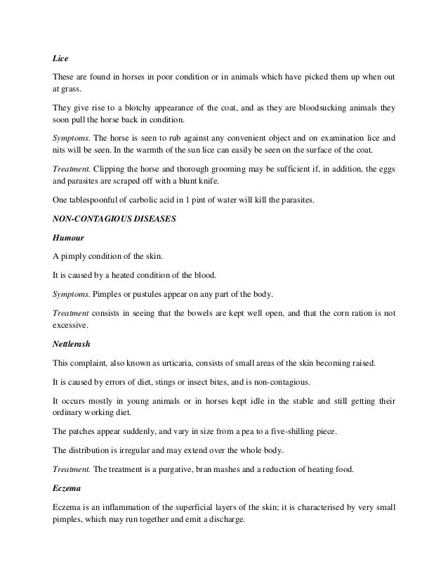 A Quick Guide On Equine Skin Diseases and Treatments