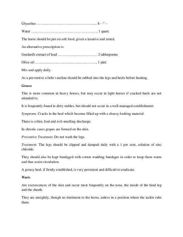 A Quick Guide On Equine Skin Diseases and Treatments