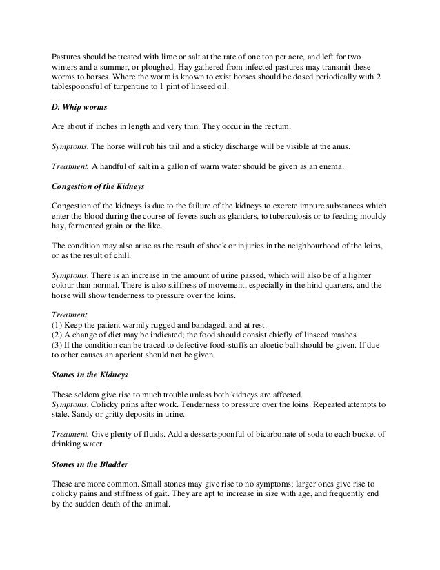 internal diseases in horses  common symptoms and treatments