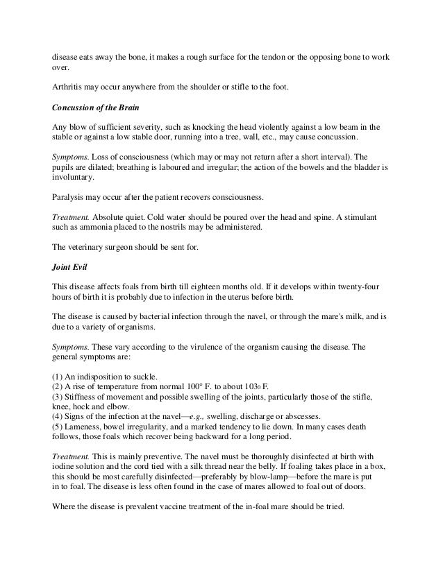 Internal Diseases in Horses Common Symptoms and Treatments