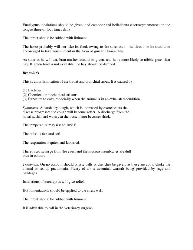 senior architect resume lara