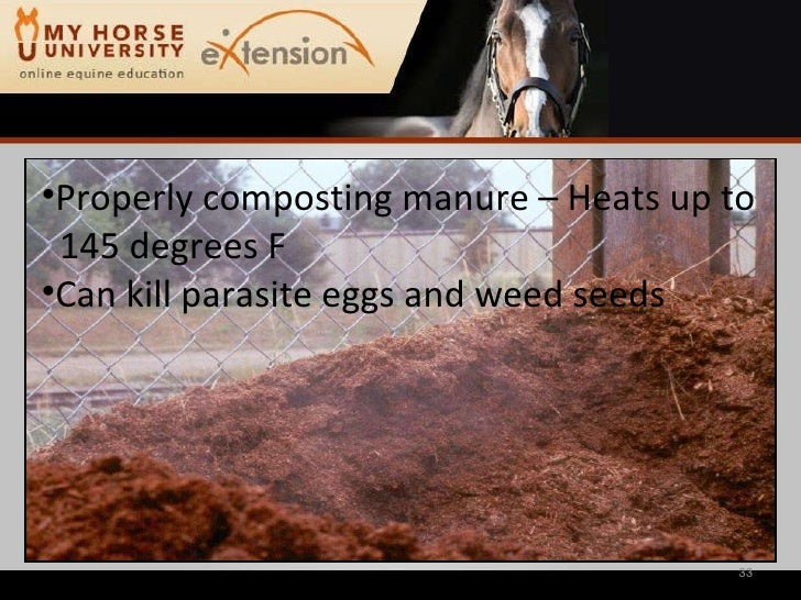 Horse Manure A Renewable Resource Swinker